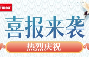 喜报 | 泰美斯中标河北省卓悦城房地产项目