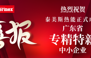 2023开门红！泰美斯荣获“广东省专精特新中小企业”称号